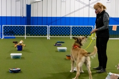 2022-March-Scent-Trial-861