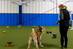 2022-March-Scent-Trial-863