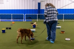 2022-March-Scent-Trial-867