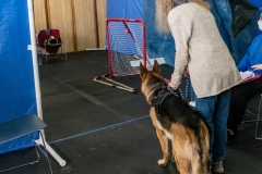 2022-March-Scent-Trial-893