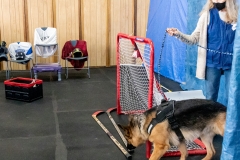 2022-March-Scent-Trial-895