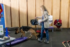 2022-March-Scent-Trial-896