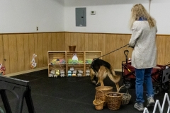 2022-March-Scent-Trial-900