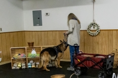 2022-March-Scent-Trial-901