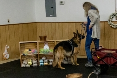 2022-March-Scent-Trial-902