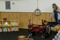 2022-March-Scent-Trial-904