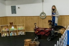 2022-March-Scent-Trial-905