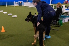 2022-March-Scent-Trial-909