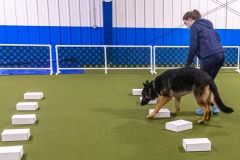 2022-March-Scent-Trial-911