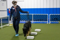 2022-March-Scent-Trial-912