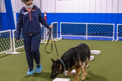 2022-March-Scent-Trial-913