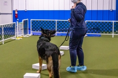 2022-March-Scent-Trial-914