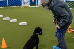 2022-March-Scent-Trial-917