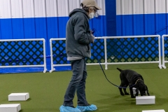 2022-March-Scent-Trial-918