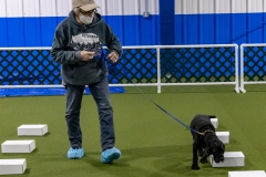 2022-March-Scent-Trial-919