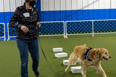 2022-March-Scent-Trial-932