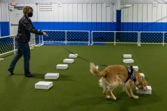 2022-March-Scent-Trial-933