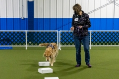 2022-March-Scent-Trial-935