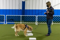 2022-March-Scent-Trial-936
