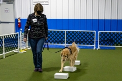 2022-March-Scent-Trial-937