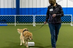 2022-March-Scent-Trial-939