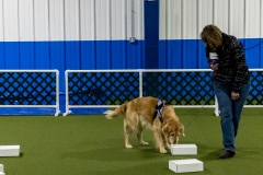 2022-March-Scent-Trial-941