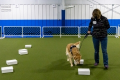 2022-March-Scent-Trial-942