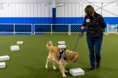 2022-March-Scent-Trial-943