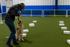 2022-March-Scent-Trial-944