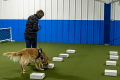 2022-March-Scent-Trial-945