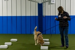 2022-March-Scent-Trial-946