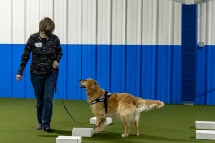 2022-March-Scent-Trial-948