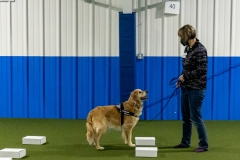 2022-March-Scent-Trial-949