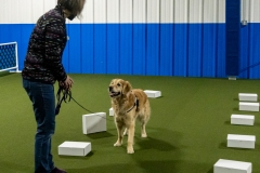 2022-March-Scent-Trial-951