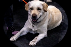 2022-March-Scent-Trial-954