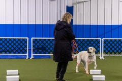 2022-March-Scent-Trial-961