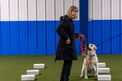 2022-March-Scent-Trial-963