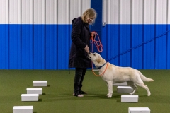 2022-March-Scent-Trial-965