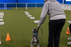 2022-March-Scent-Trial-966