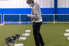 2022-March-Scent-Trial-970