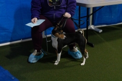 2022-March-Scent-Trial-986