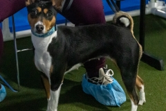 2022-March-Scent-Trial-987