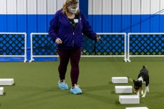 2022-March-Scent-Trial-989