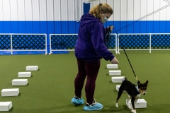 2022-March-Scent-Trial-990