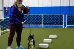 2022-March-Scent-Trial-993