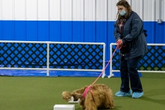 2022-March-Scent-Trial-995