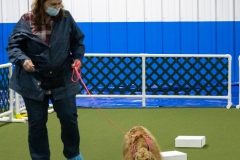 2022-March-Scent-Trial-996