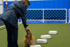 2022-March-Scent-Trial-999