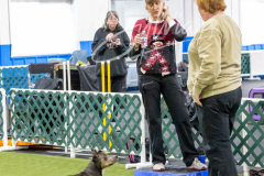 12-8-9-10-Jen-Pinder-2168
