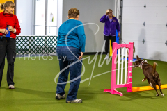 12-8-9-10-Jen-Pinder-117